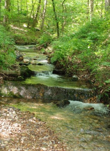 Waterfall in Ouachita Mountains